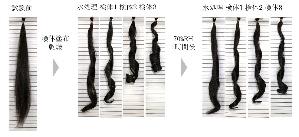 図1.試験前後の毛髪