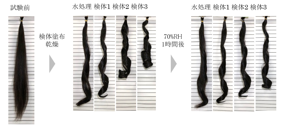 図1.試験前後の毛髪