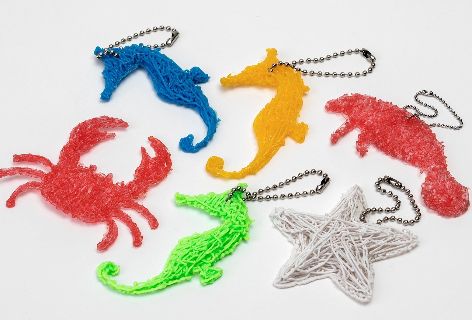 海のいきもの　イメージ