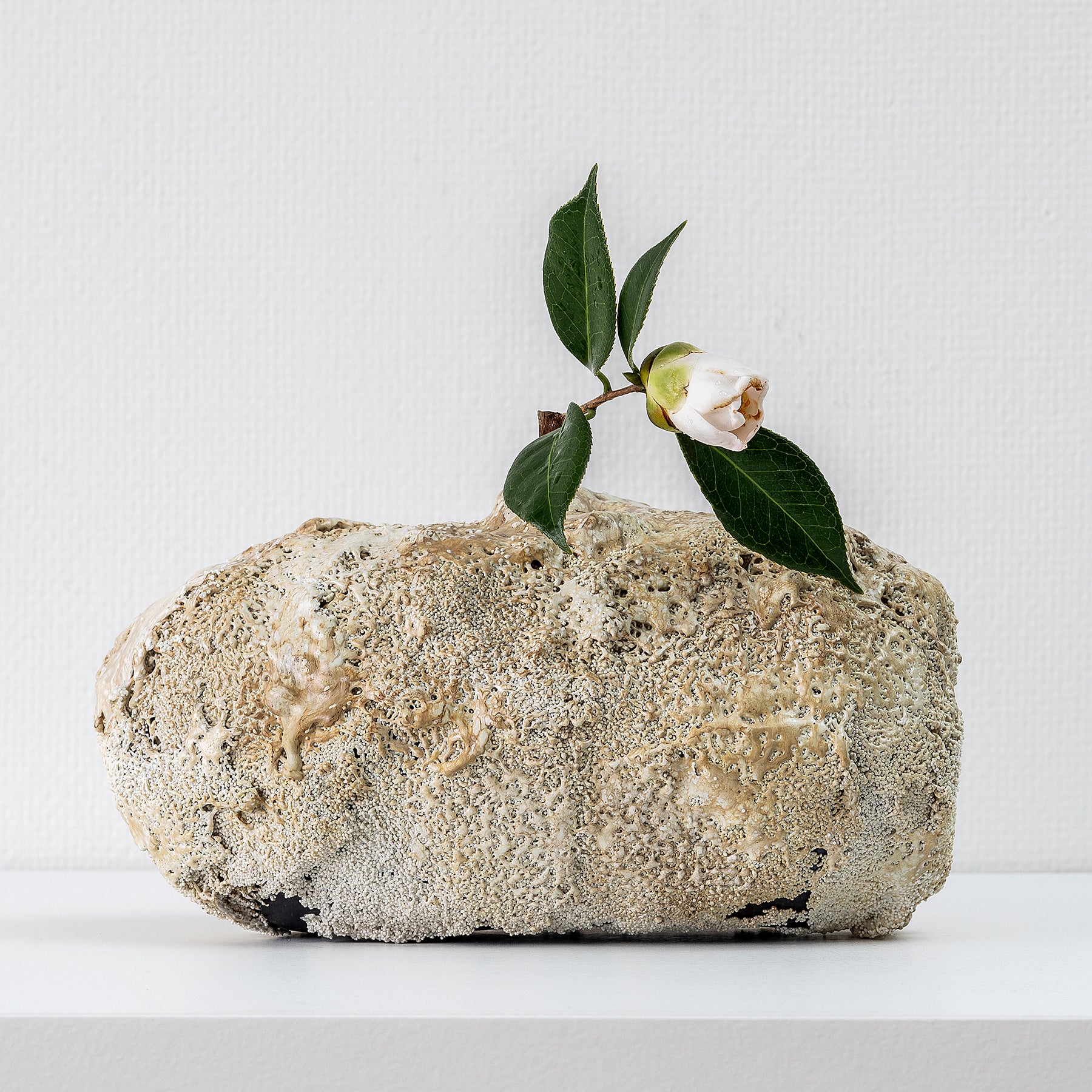 ミヤケマイ 扁壺 銘「再生」2023年 再生ポリエチレンテレフタレート