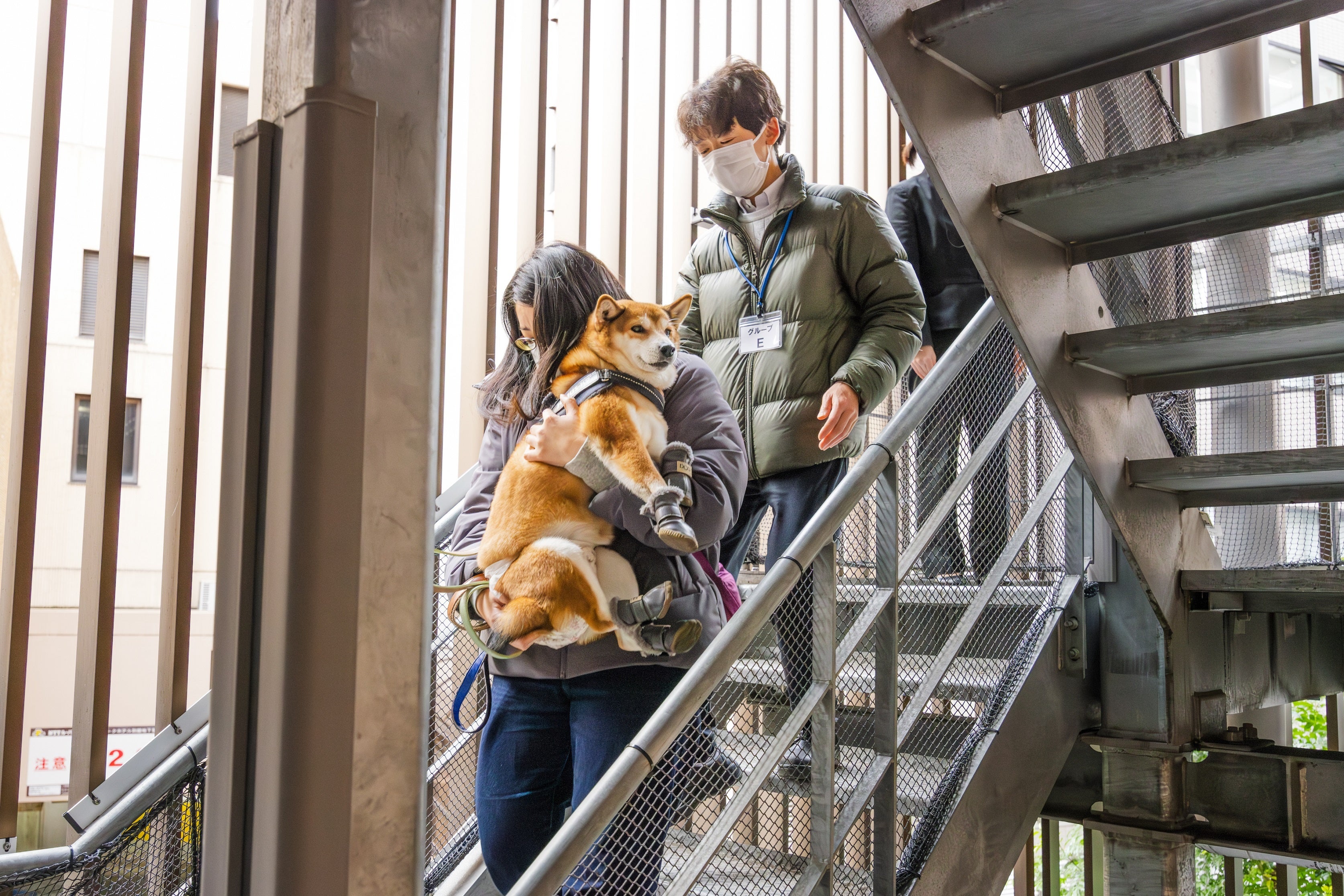 非常階段を使用した避難の様子