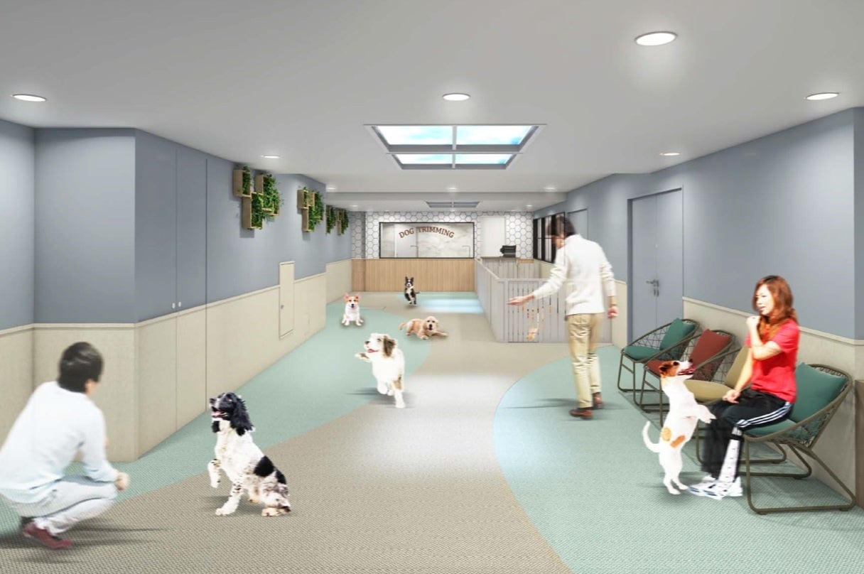 全天候型雨の日も使えるドッグラン