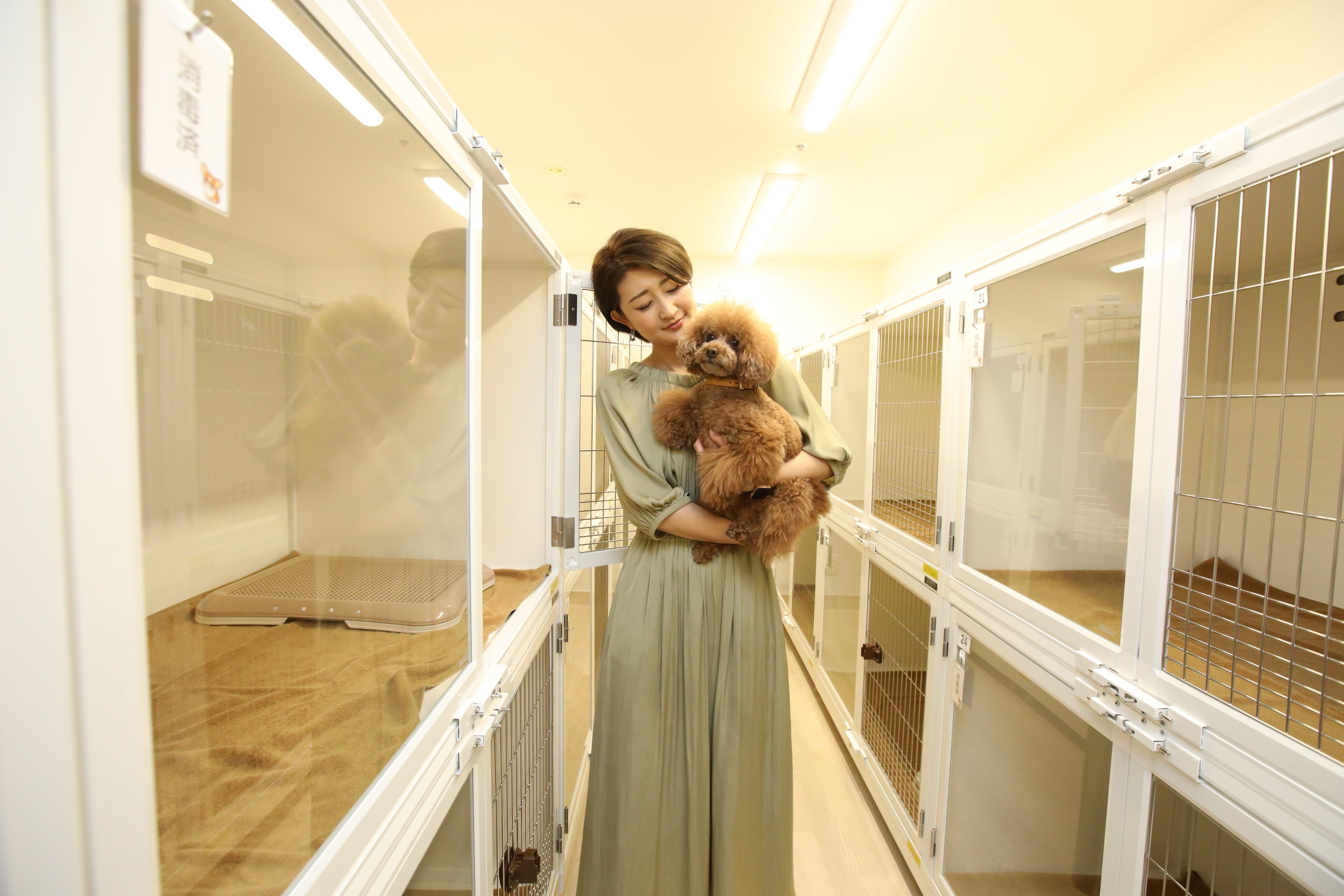 一時的に愛犬をお預かりするサービスも利用可能