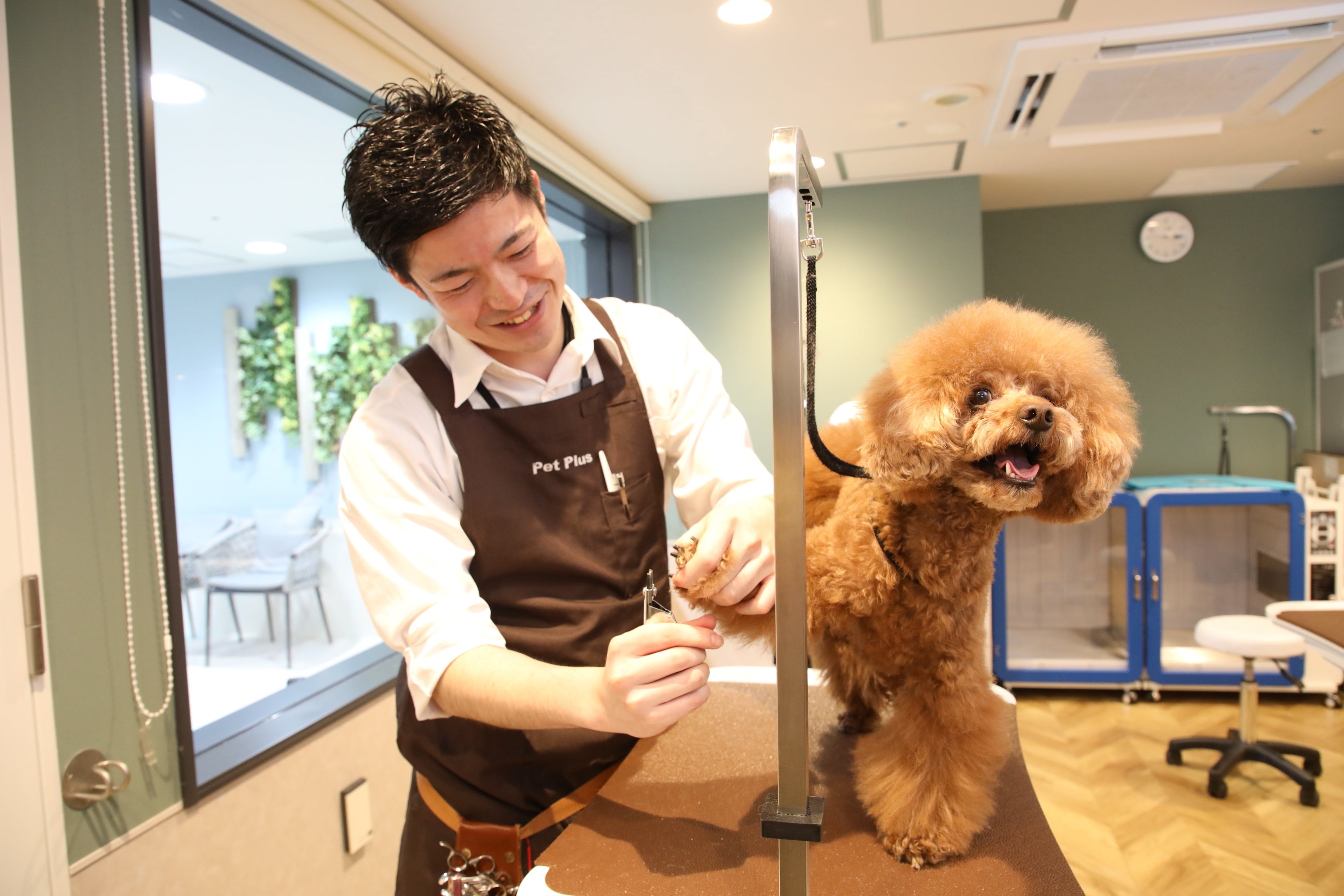 愛犬のグルーミング（シャンプー含む）もプランに含まれています
