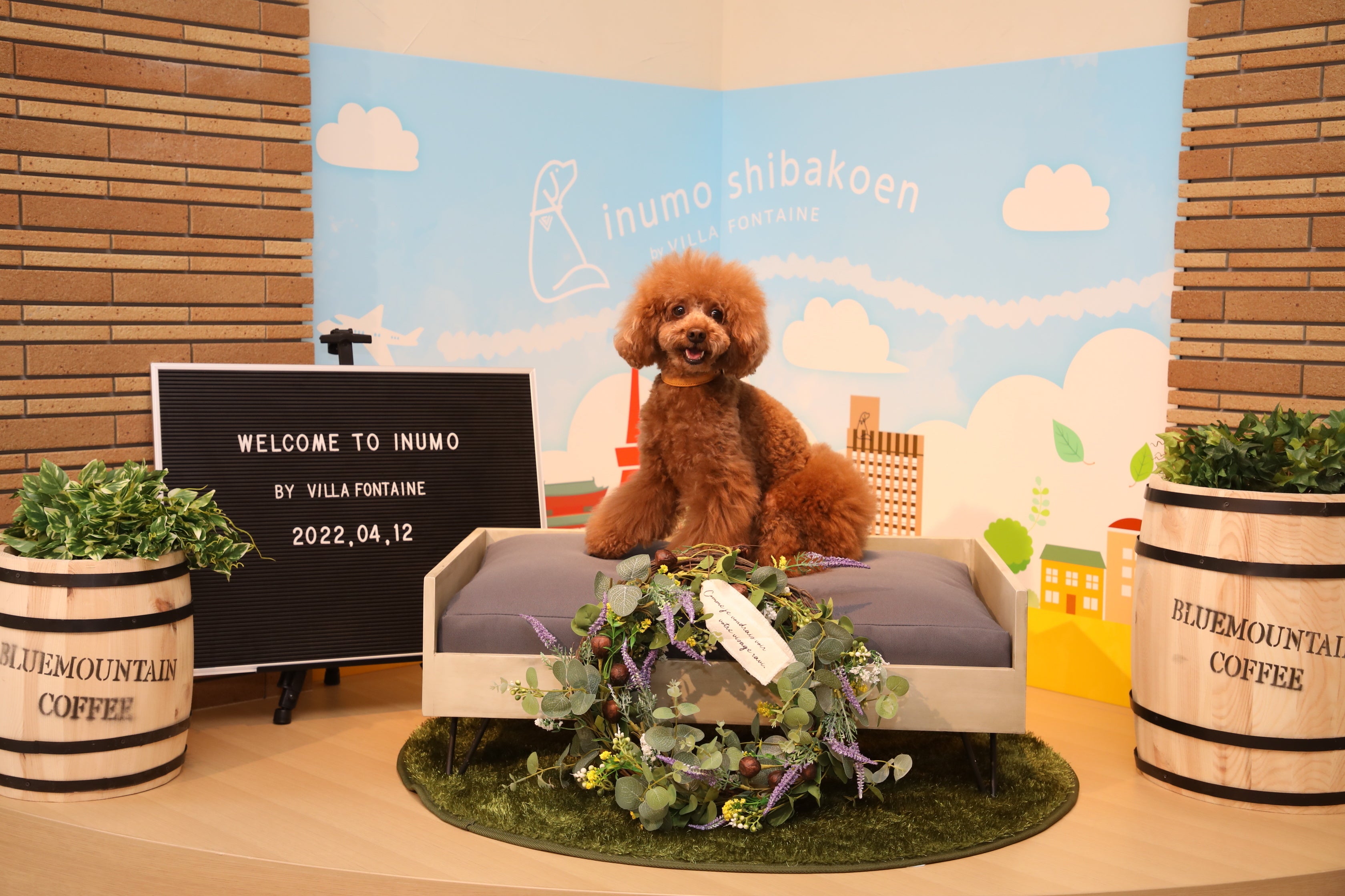 Tokyoでの愛犬旅の思い出を撮影できるスポットも