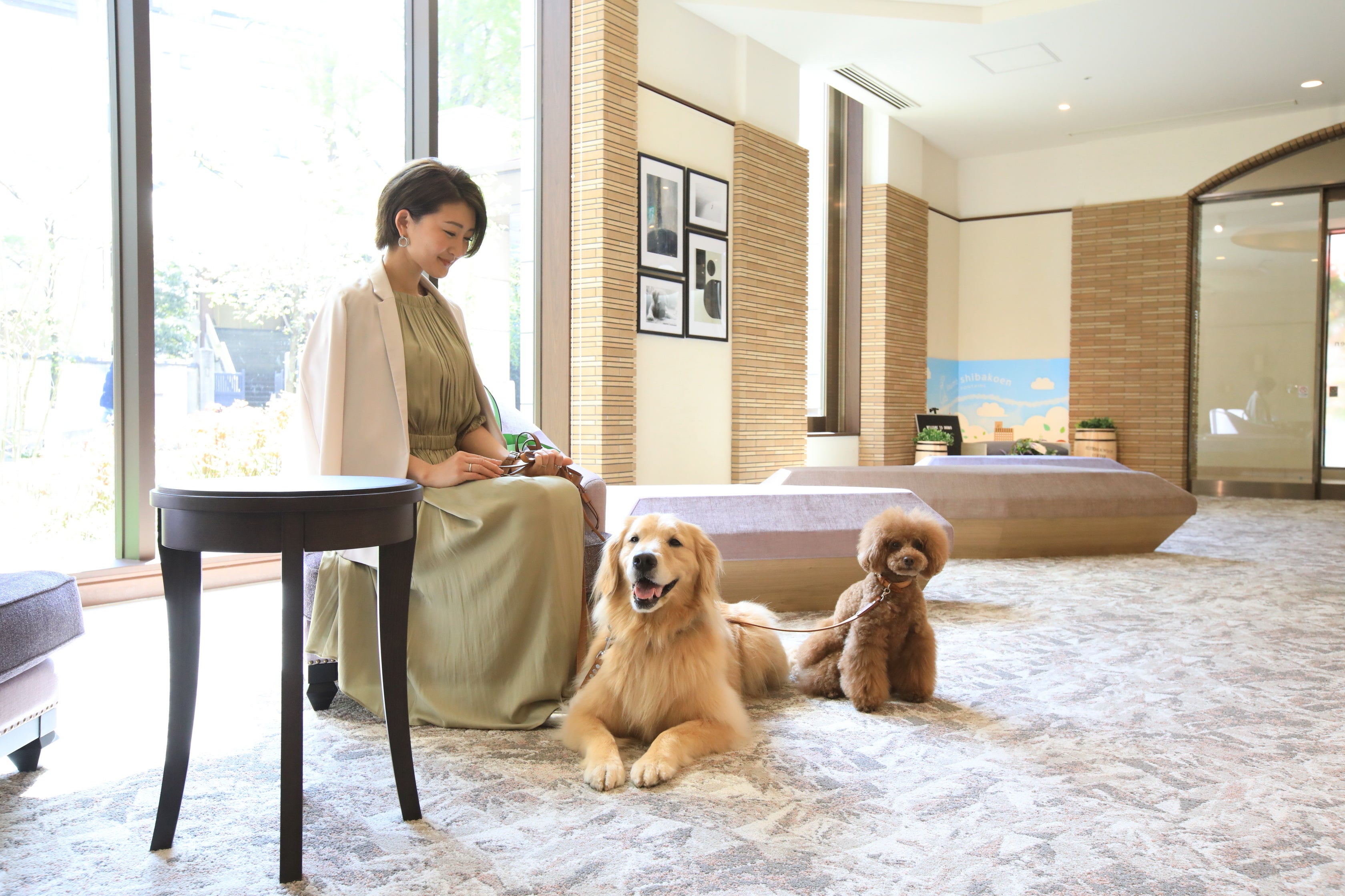 愛犬の目線に合わせたインテリアを採用したレセプション