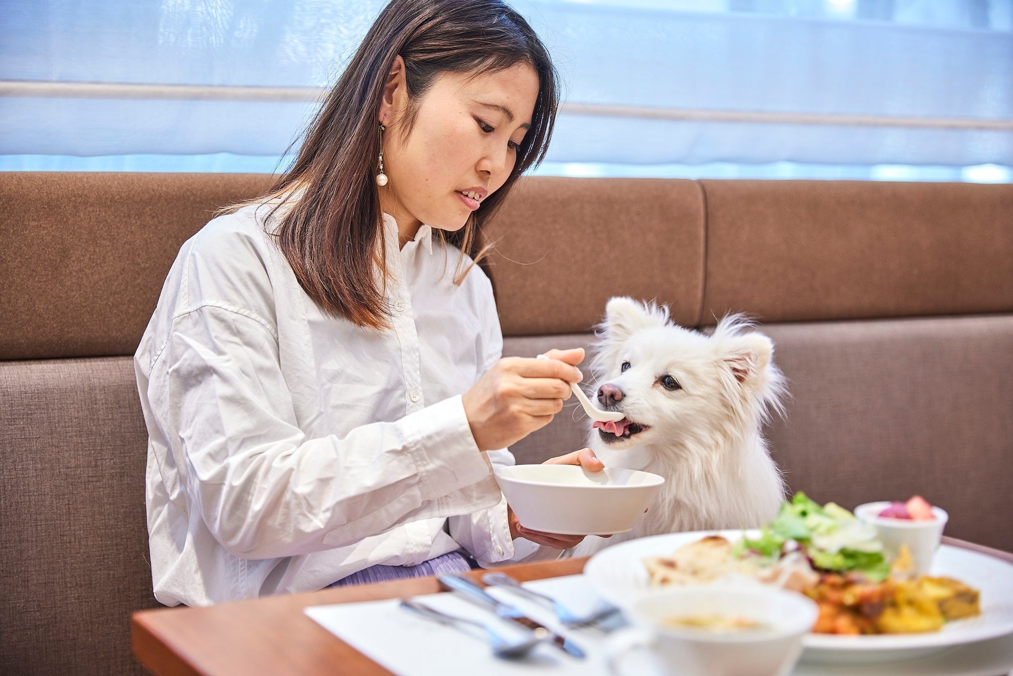 ご宿泊プランにはワンちゃんとの朝食がついています。