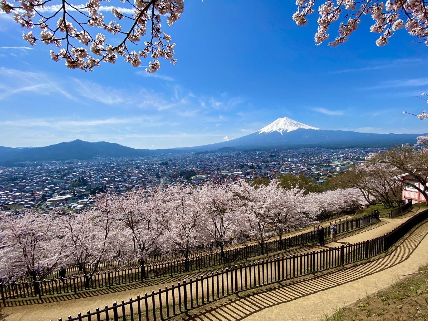 新倉山浅間公園