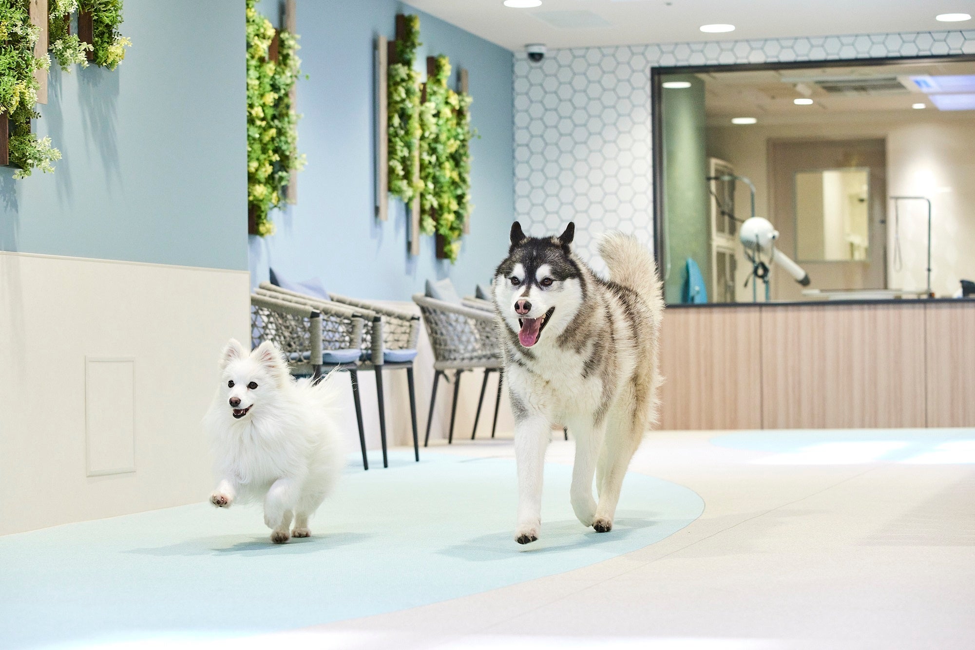 全天候型ドッグランを完備