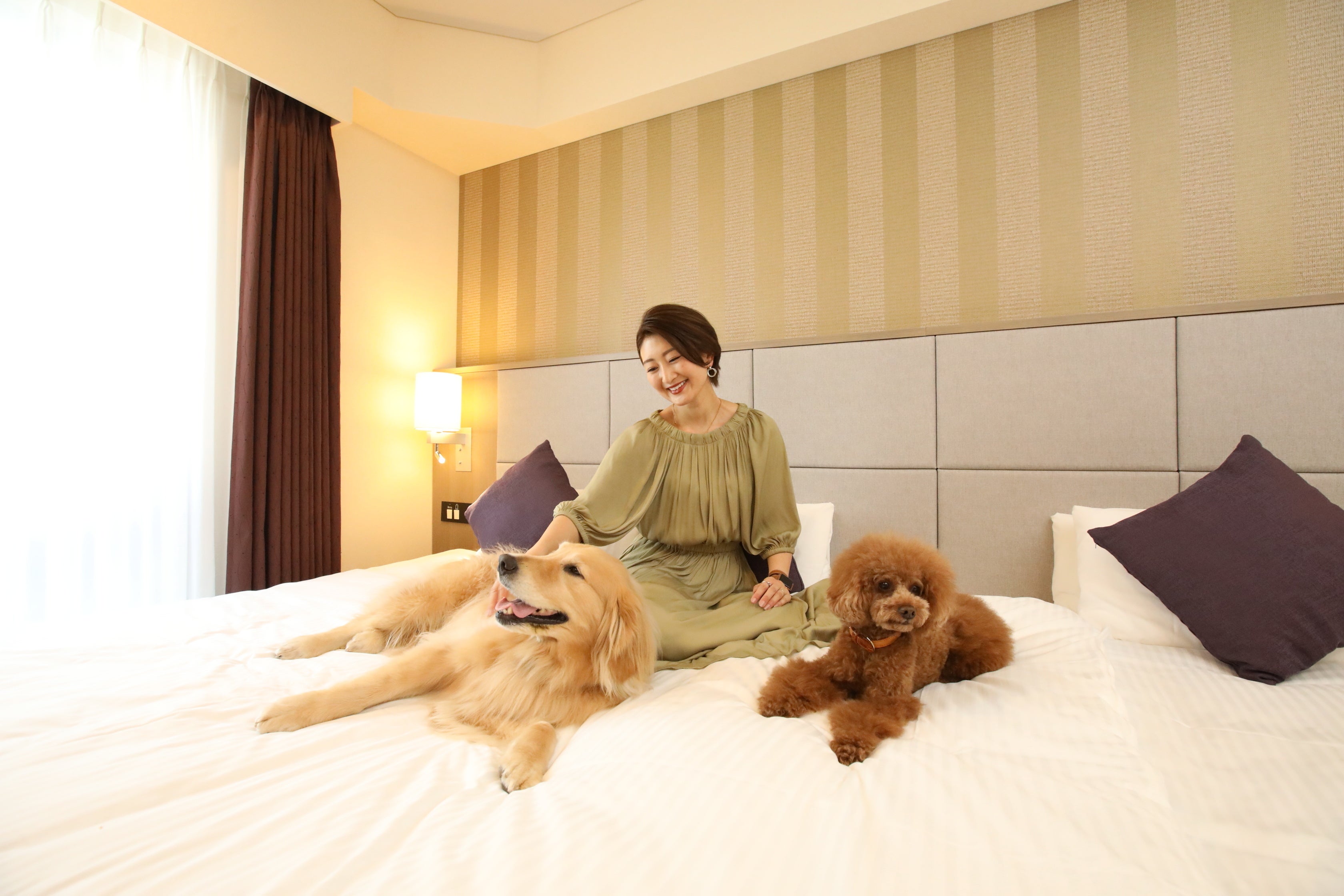 客室内では愛犬とベッドの上で一緒にお過ごしいただけます。