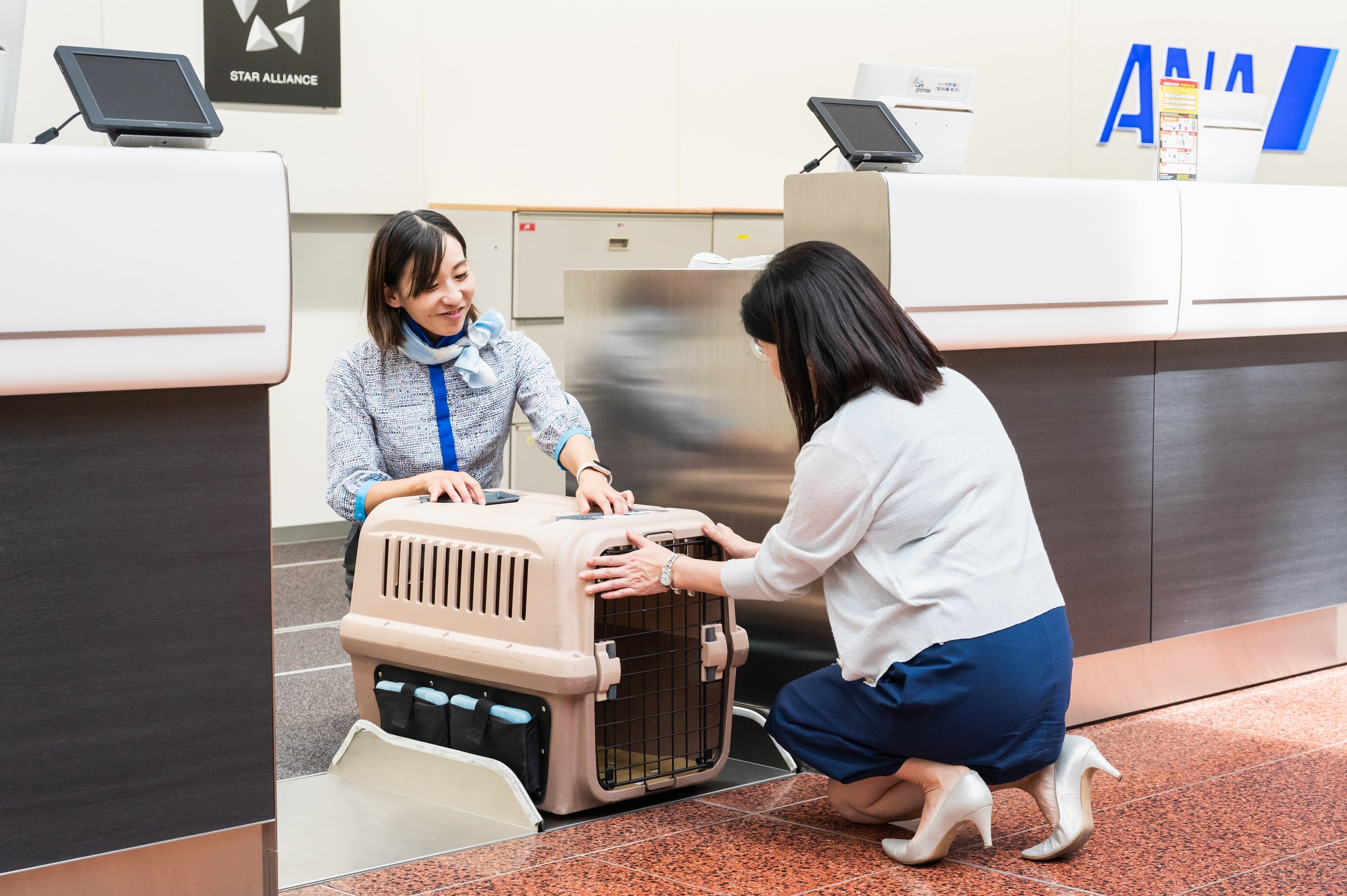 飛行機で東京に来た時も、羽田空港から発着するので便利（撮影協力：ANA）