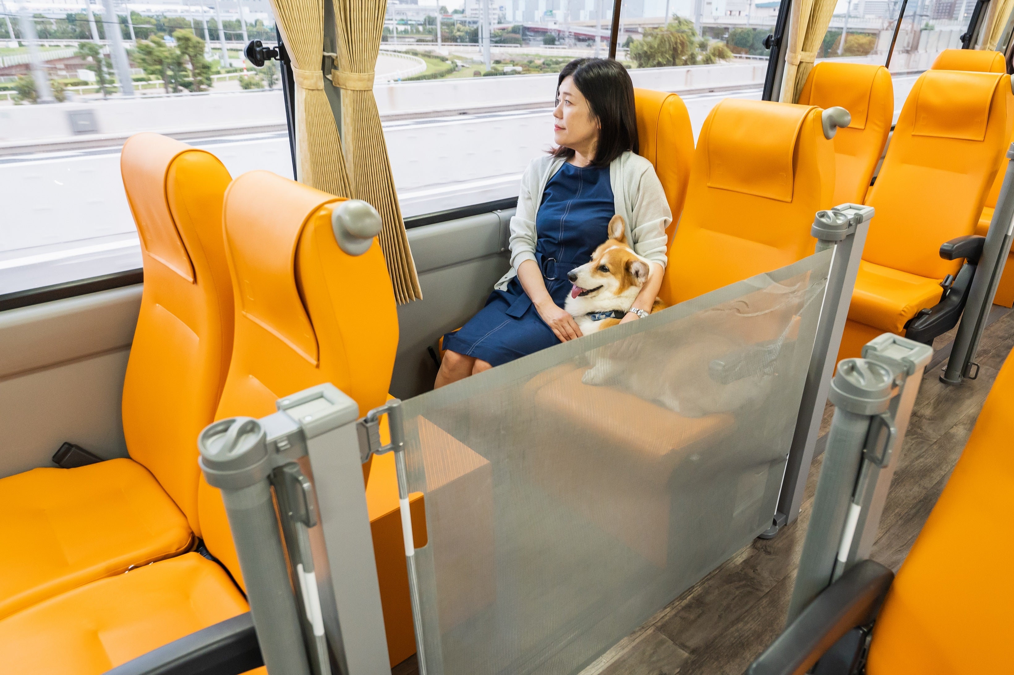 愛犬とご家族のプライベート空間を確保するロールスクリーン