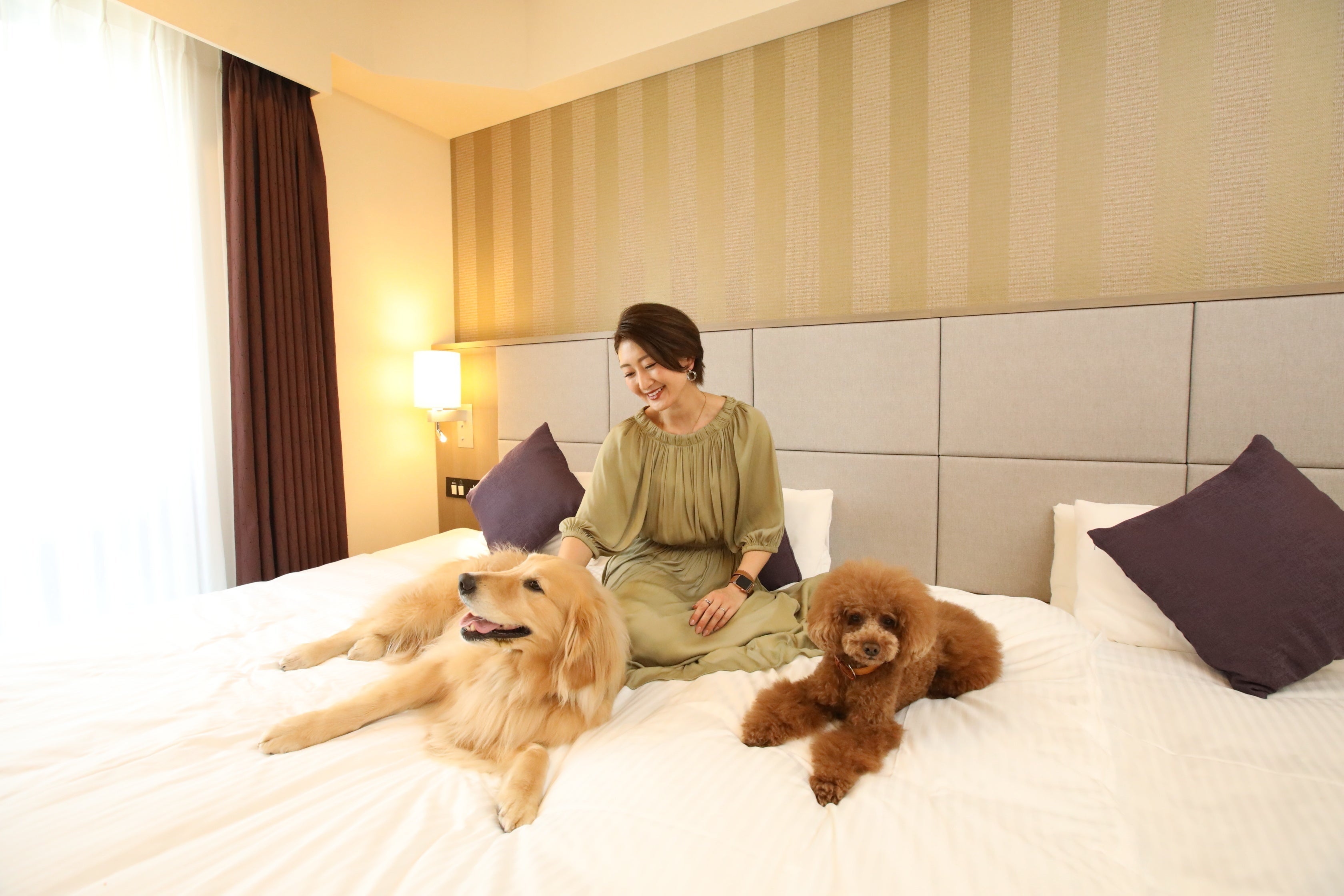 ロビーから客室まで、愛犬ファーストで作った愛犬のためのフルサービスホテル