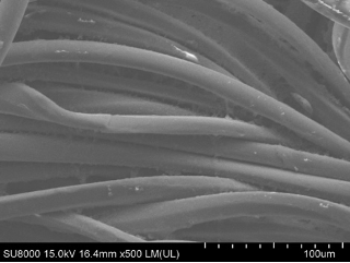 LEAD SKIN 拡大写真