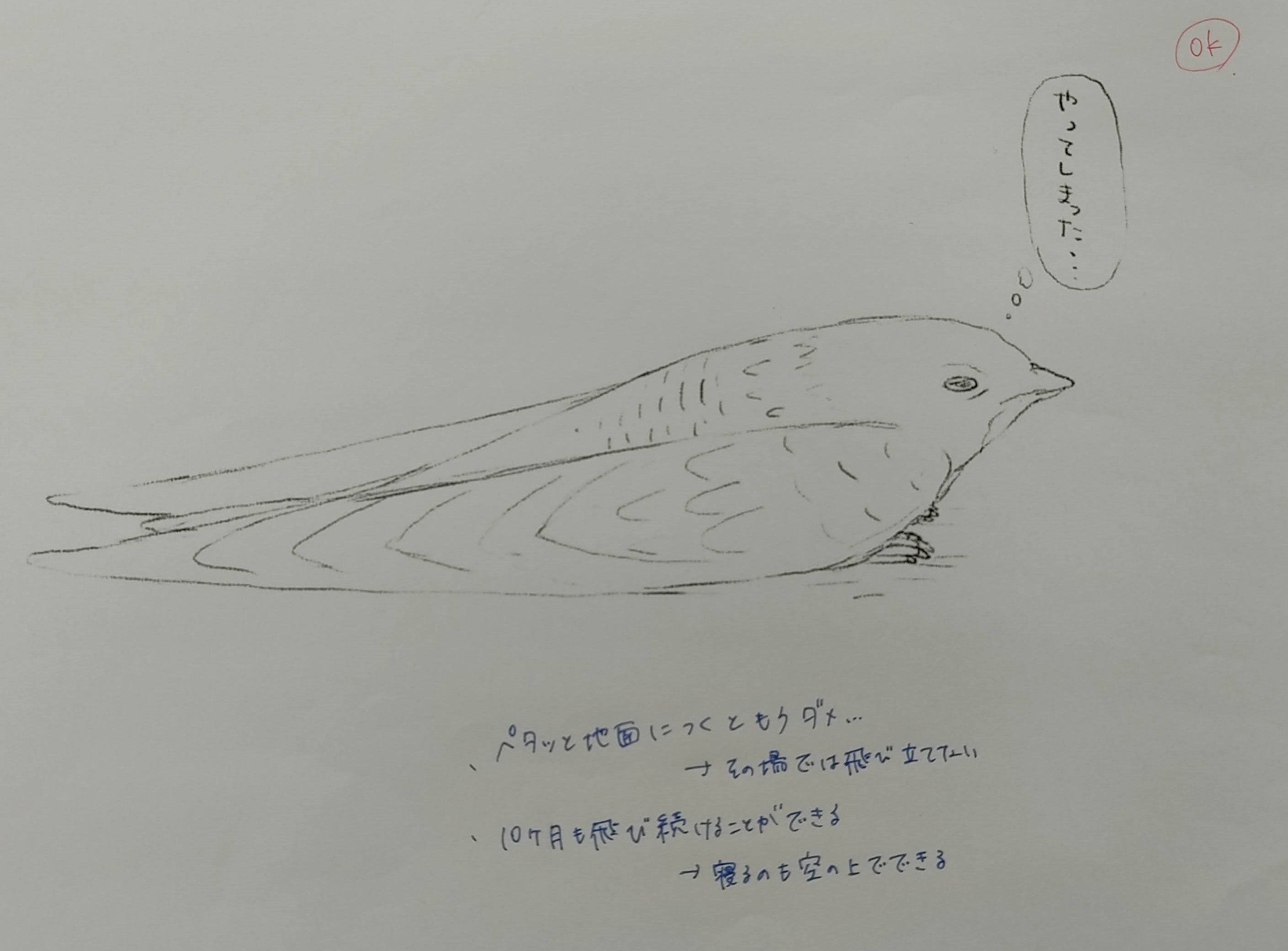 どうしてこうなる⁉残念過ぎる...