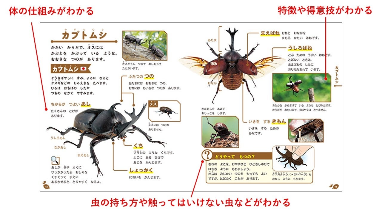 今年の夏は はじめてのずかん こんちゅう で昆虫博士に 株式会社 高橋書店のプレスリリース 今年の夏は はじめてのずかん こんちゅう で昆虫博士に 株式会社 高橋書店のプレスリリース