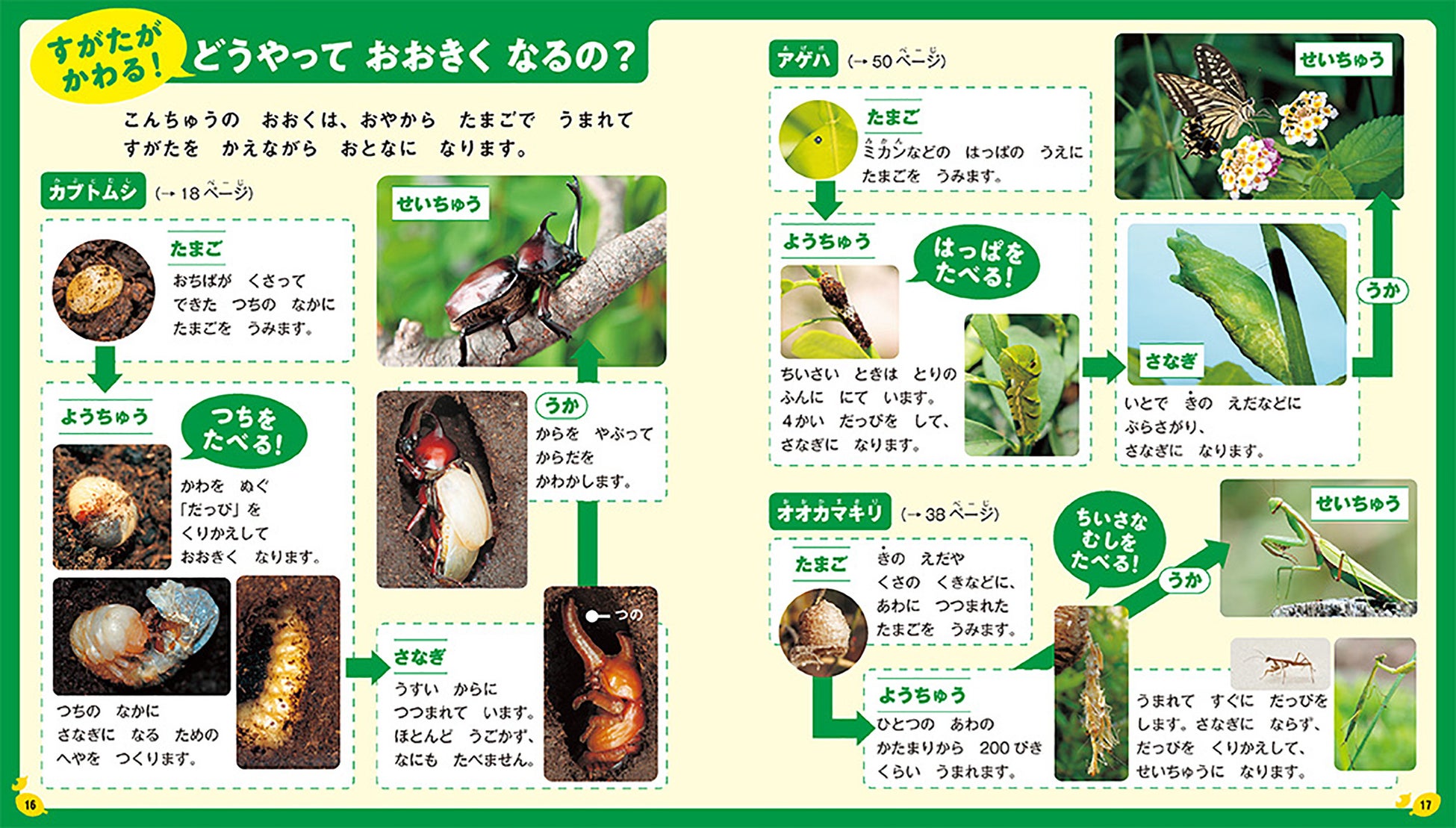 今年の夏は はじめてのずかん こんちゅう で昆虫博士に 株式会社 高橋書店のプレスリリース 今年の夏は はじめてのずかん こんちゅう で昆虫博士に 株式会社 高橋書店のプレスリリース