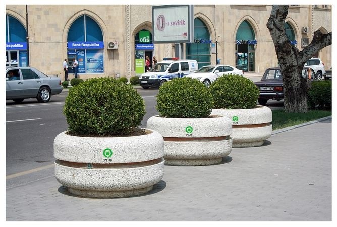 育ちすぎて手に負えなくったアレ草。街へ寄贈しました。