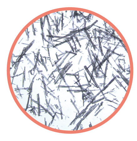 　▲タウリンニードル＊1