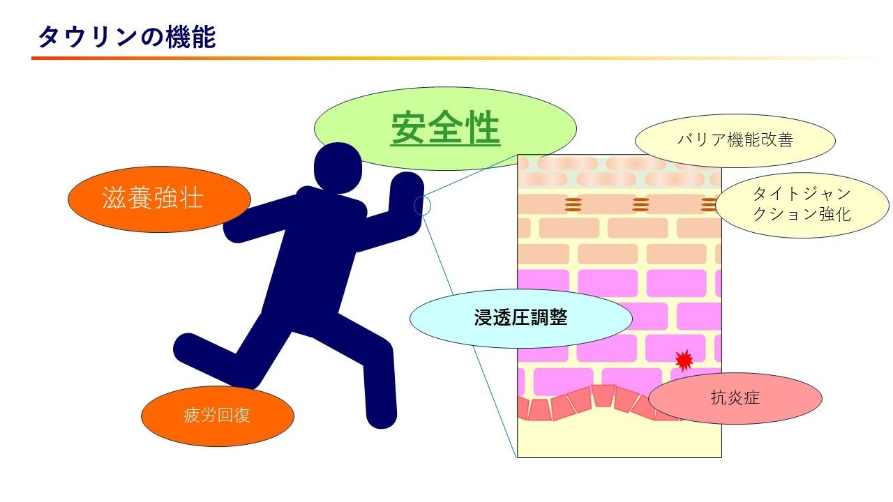 （図１）当社研究開発成果発表資料