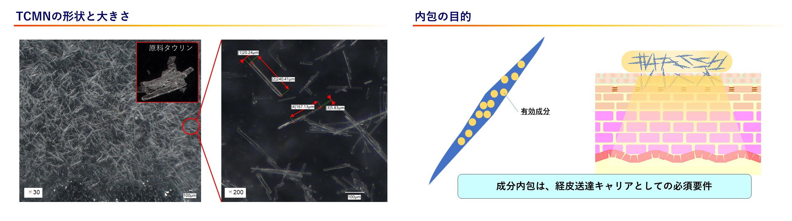 （図２）当社研究開発成果発表資料　　　　　　　　　　　　　　　（図３）当社研究開発成果発表資料