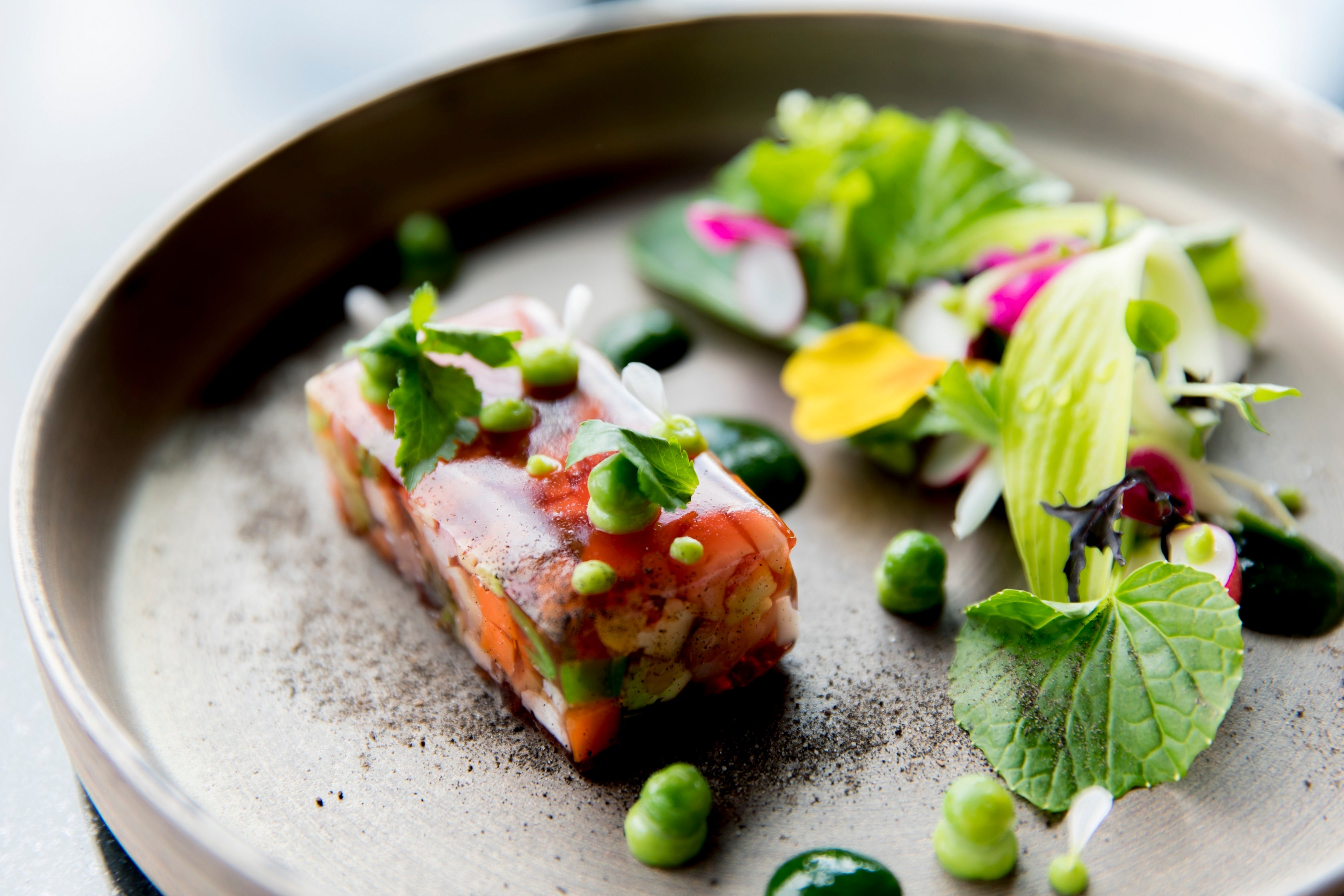 春のランチ＆ディナー／前菜