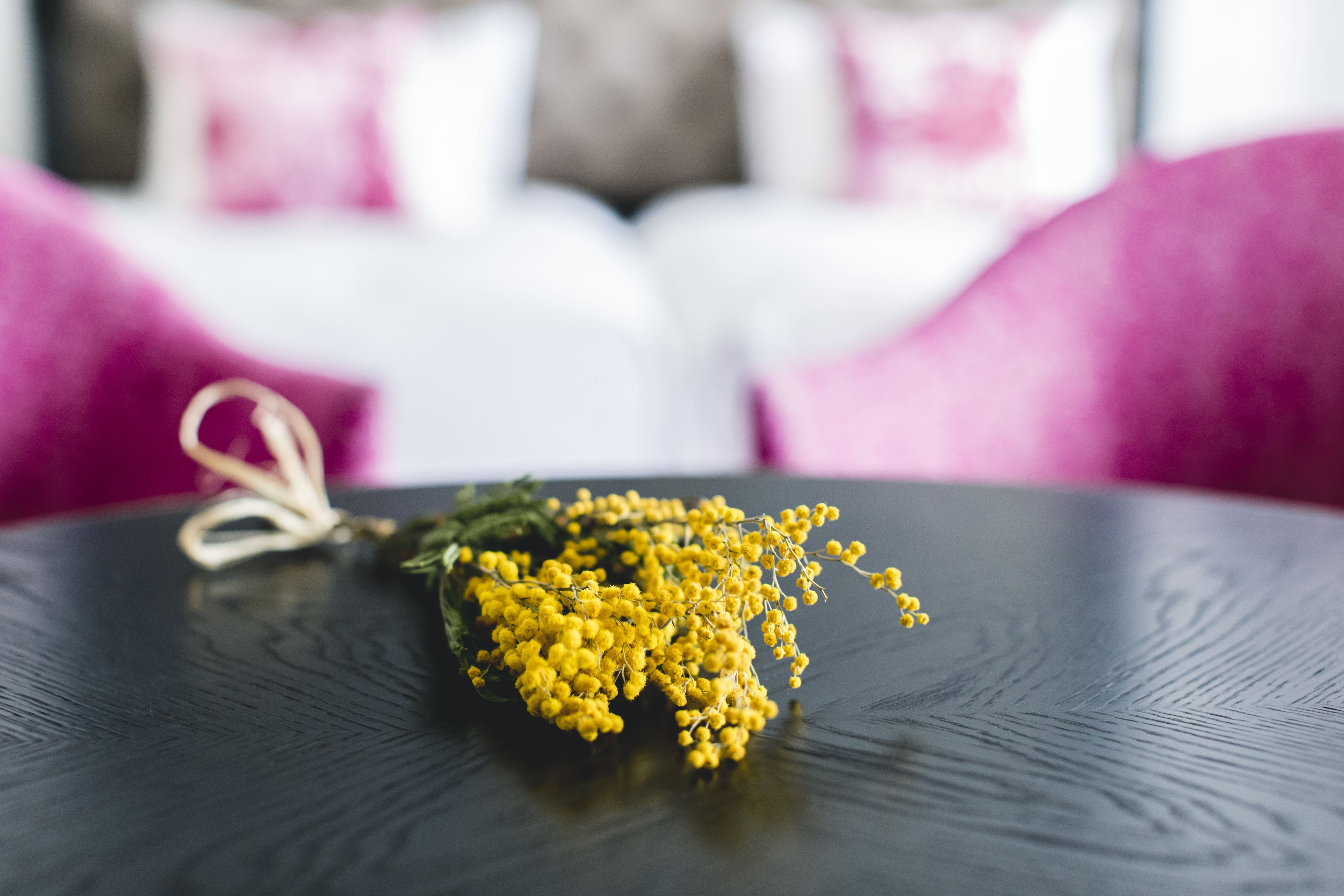 ミモザの花と客室／イメージ