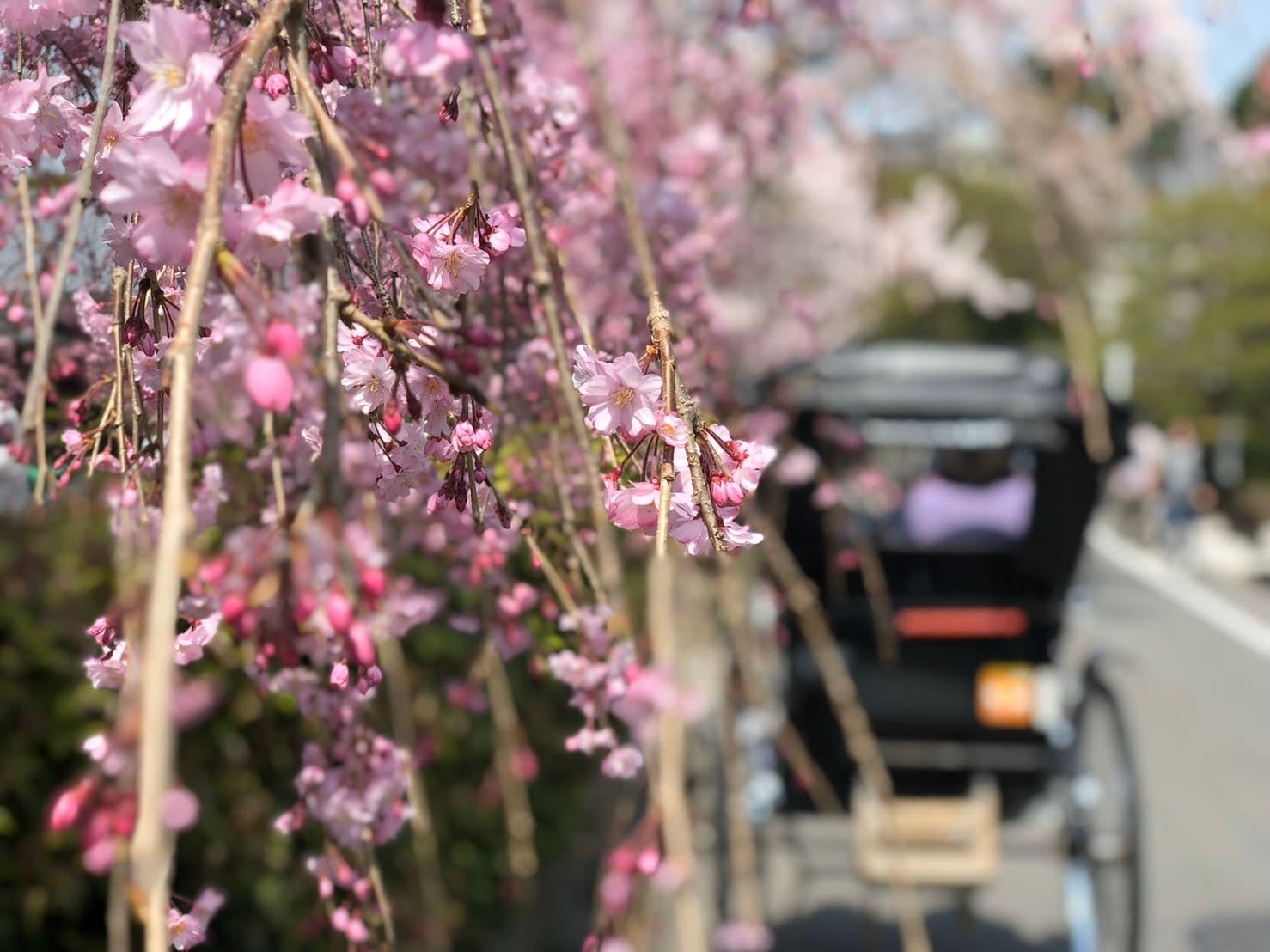 人力車散策／イメージ