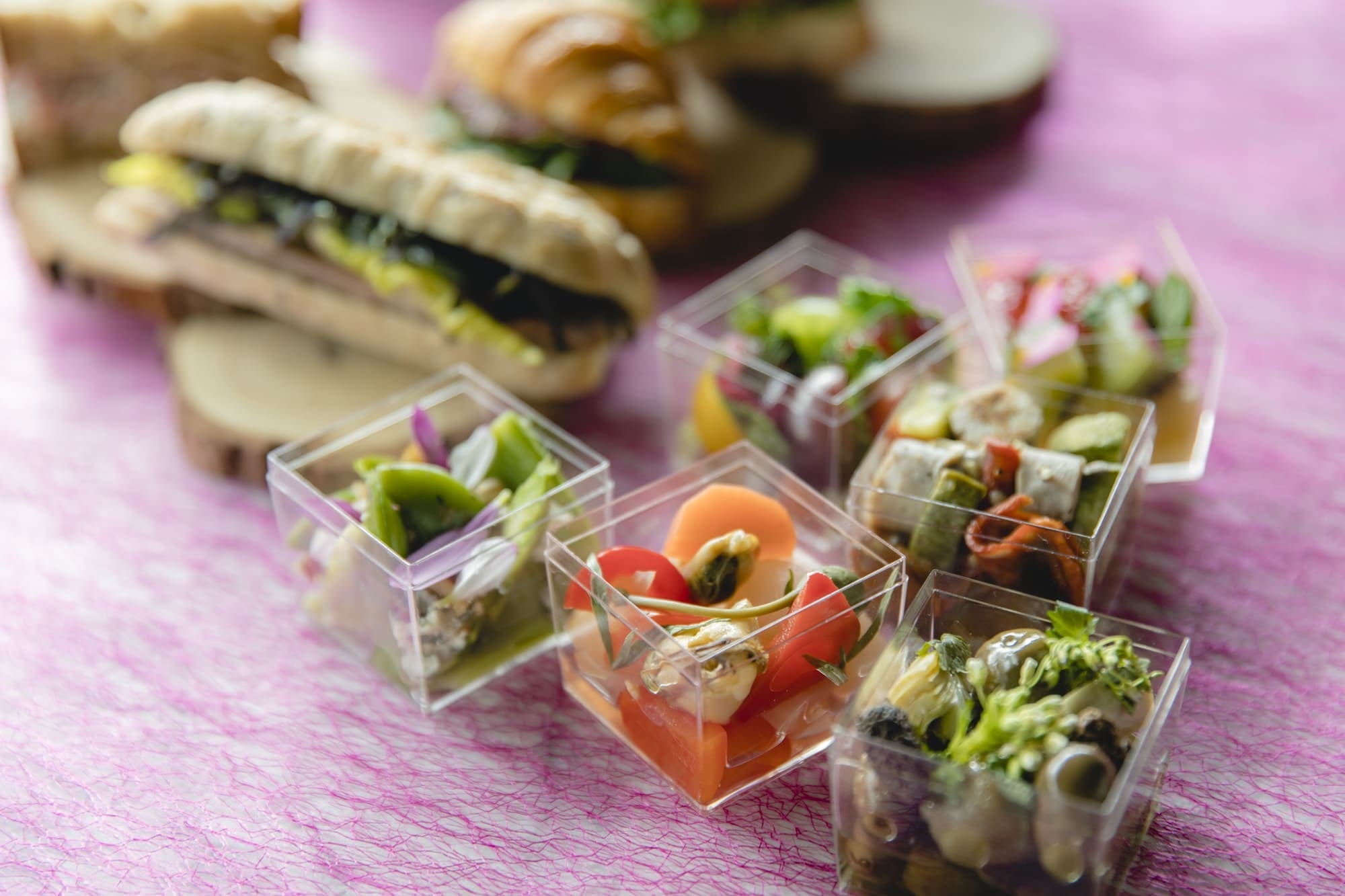 ピクニックボックス／イメージ