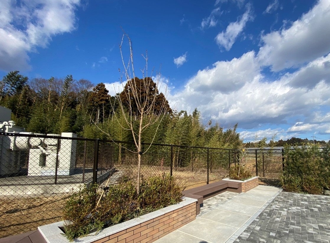 シンボルツリー・ベンチ