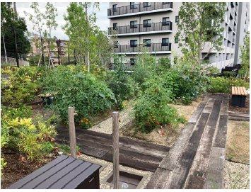 貸農園（グリーンファーム）