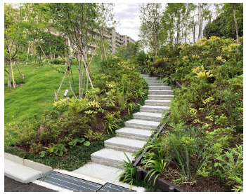 果樹園（グリーンファーム）