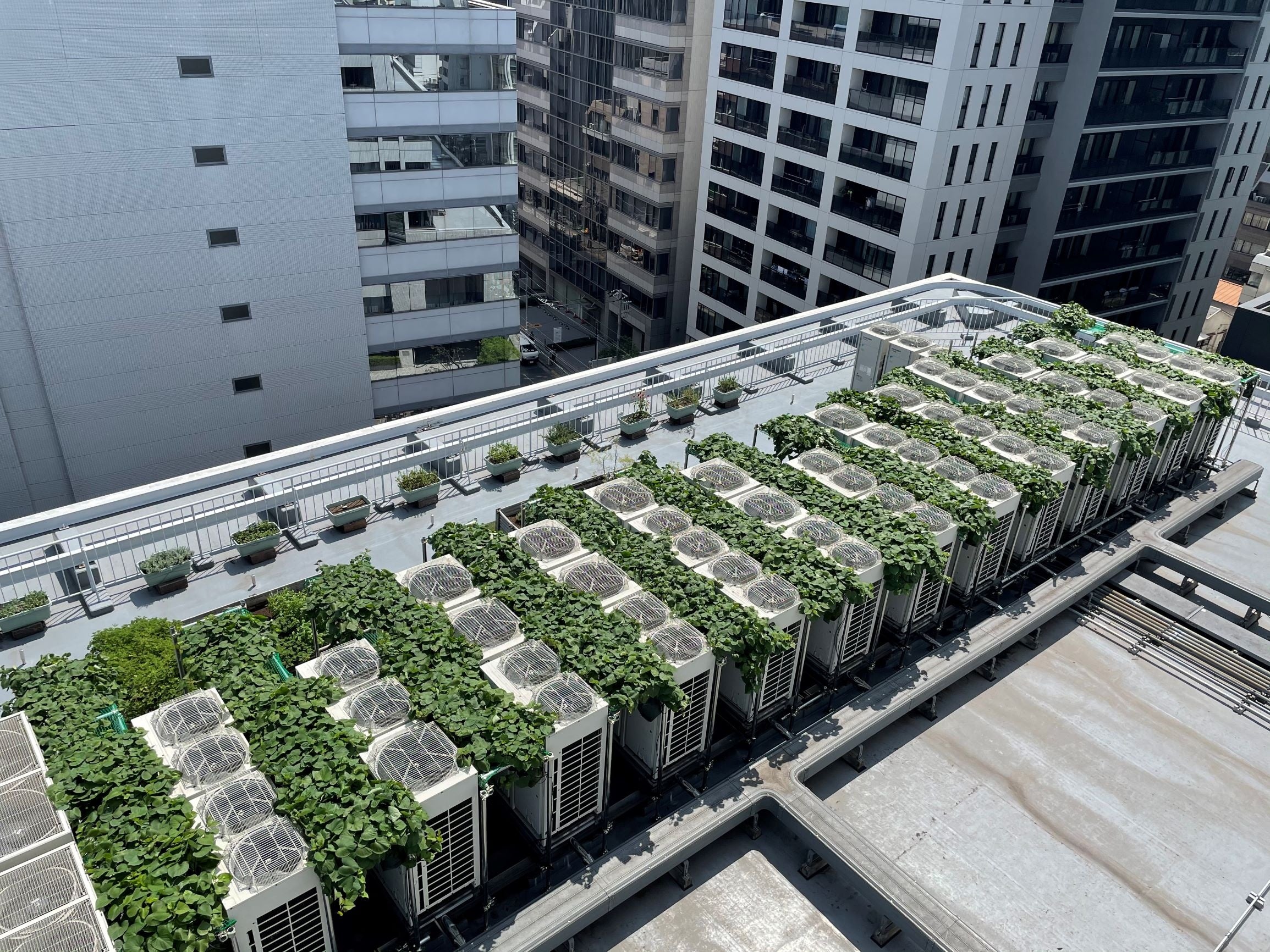 「ウノサワ東急ビル」屋上