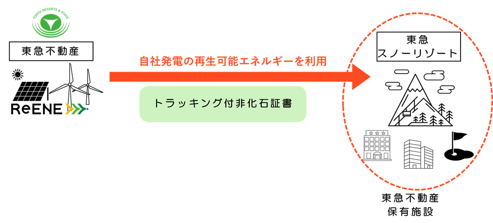 ※ 実際の電力は、一般送配電事業者及び小売電気事業者を介して供給されます。