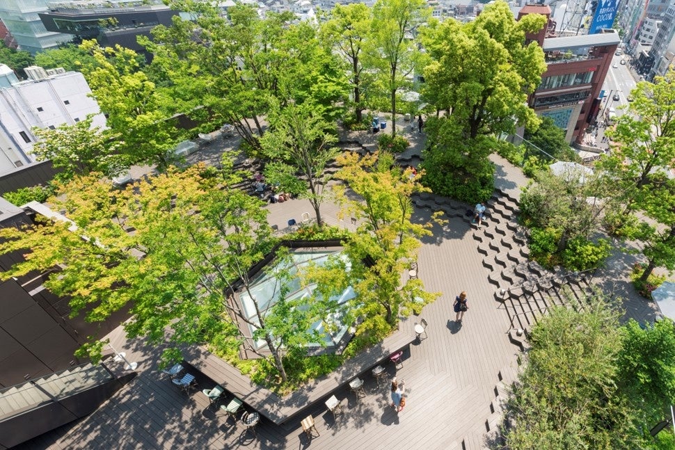 「おもはらの森」