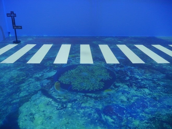 NATURE CROSSINGイメージ