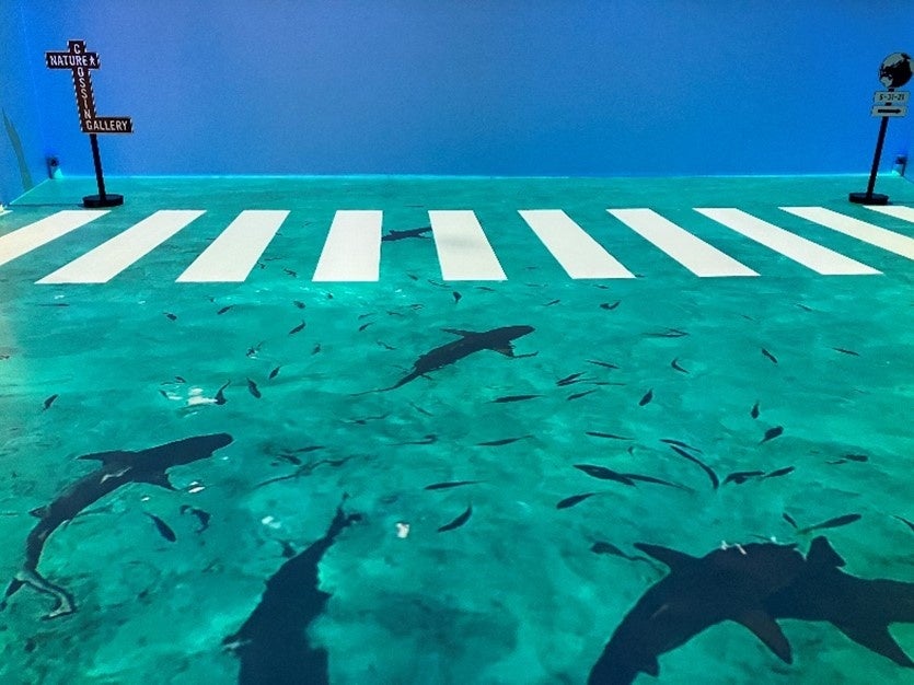 「NATURE CROSSING GALLERY」