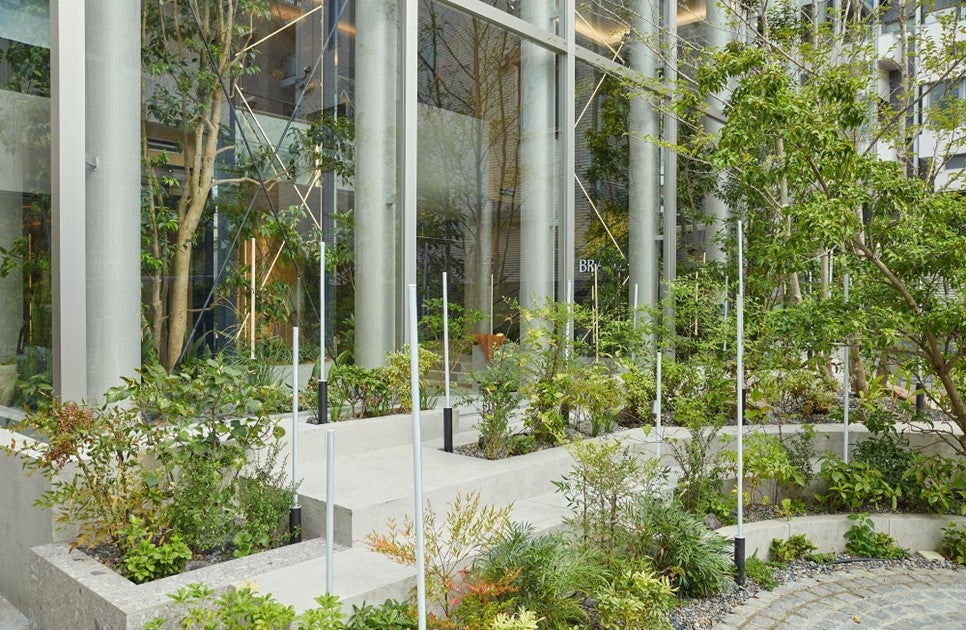 在来種を主体とした生物多様性に配慮した植栽計画