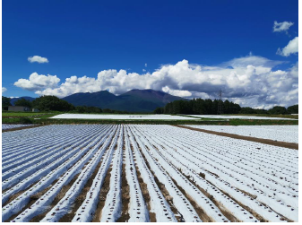 長野県北佐久郡御代田町に広がる農地