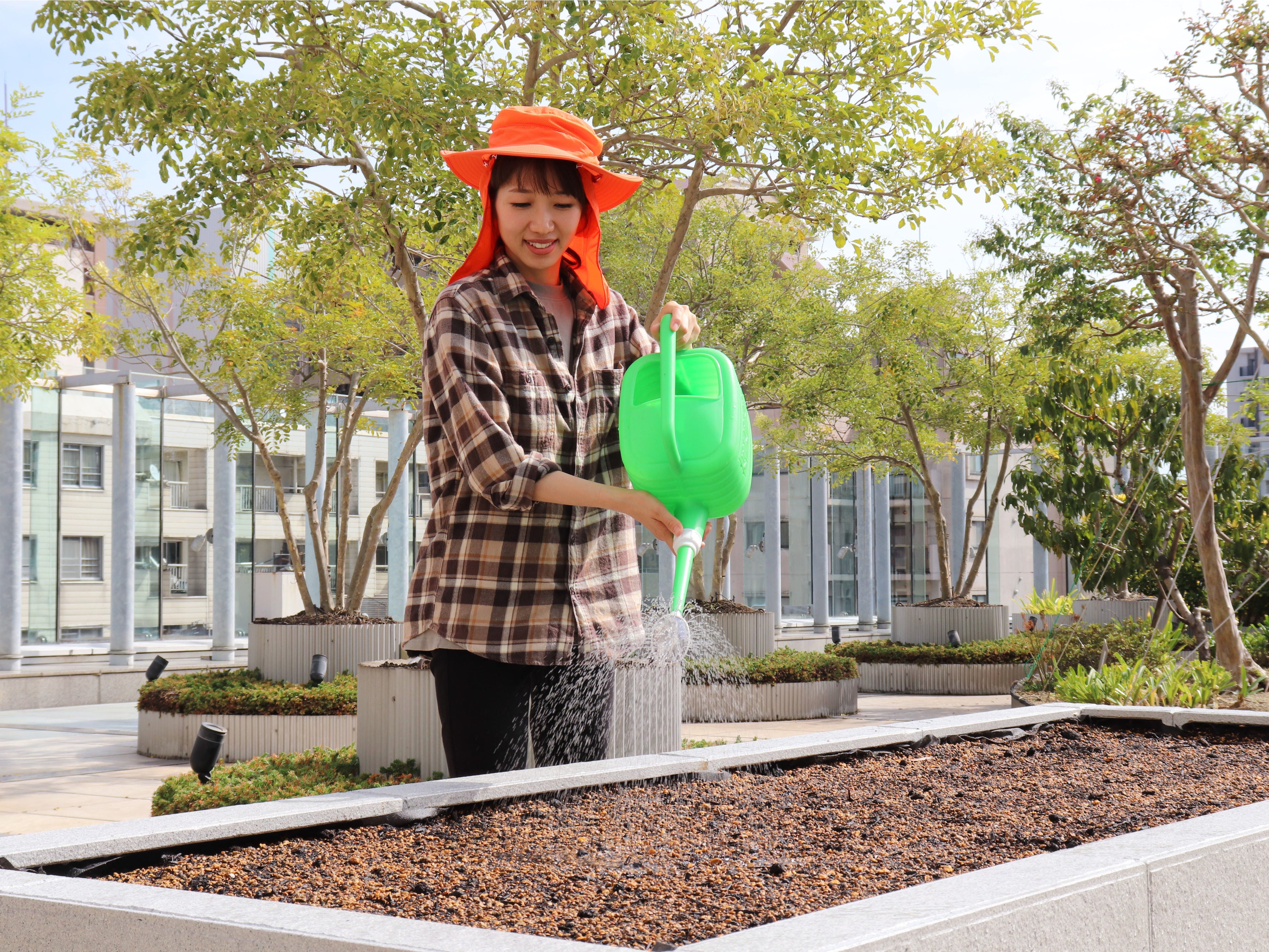 ▲「にんにく王」の成長を見守る健康家族のスタッフ