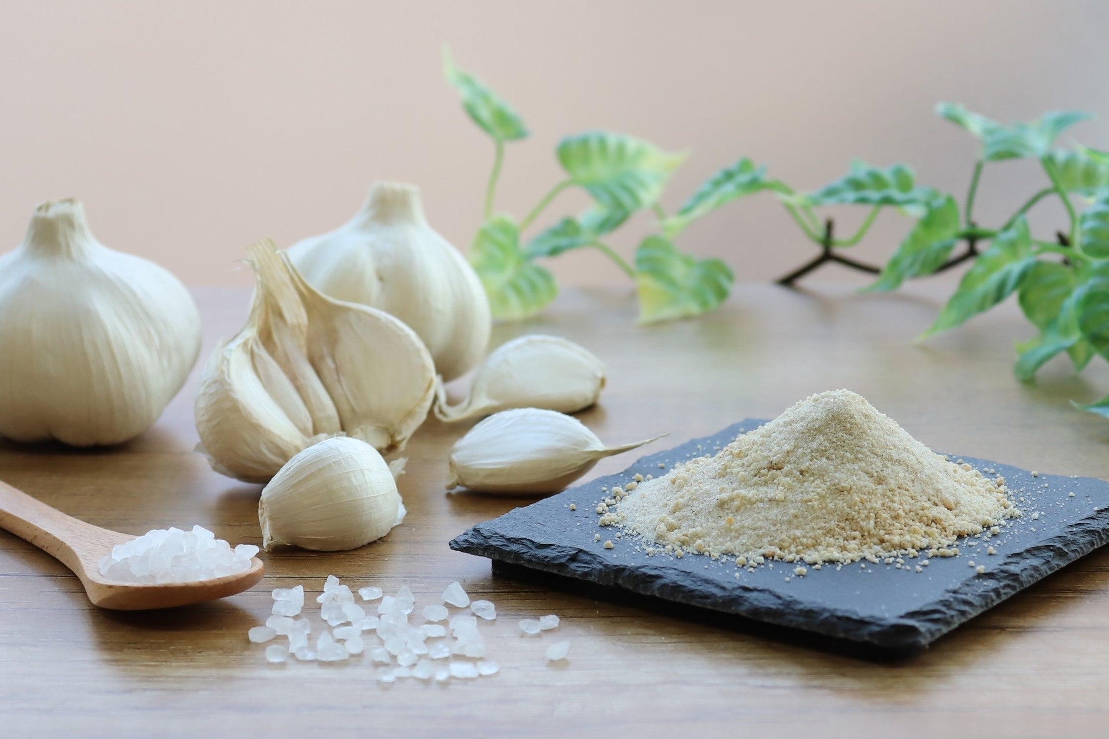 ▲和洋中どんな料理にも大活躍する＜旨すぎにんにく塩＞