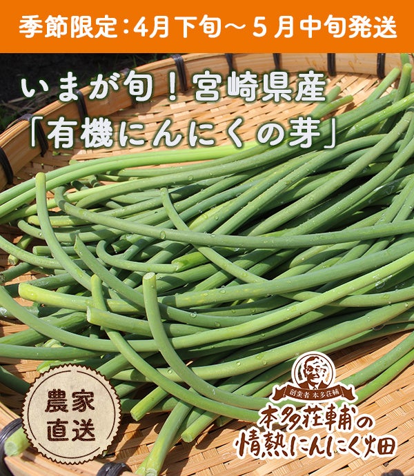 市場には出回らない国産 有機の希少な旬の味覚 有機にんにくの芽 有機フレッシュにんにく を限定販売中 株式会社健康家族のプレスリリース 市場には出回らない国産 有機の希少な旬の味覚 有機にんにくの芽 有機フレッシュにんにく を限定販売中 株式会社健康家族のプレスリリース