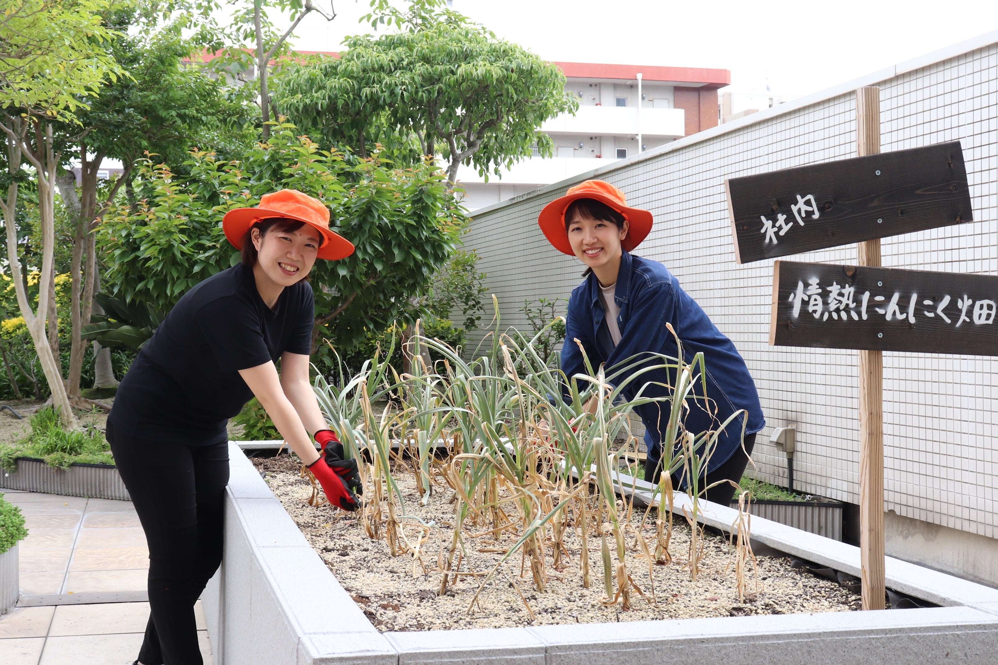 ▲街中のオフィスビルの屋上にある「社内情熱にんにく畑」