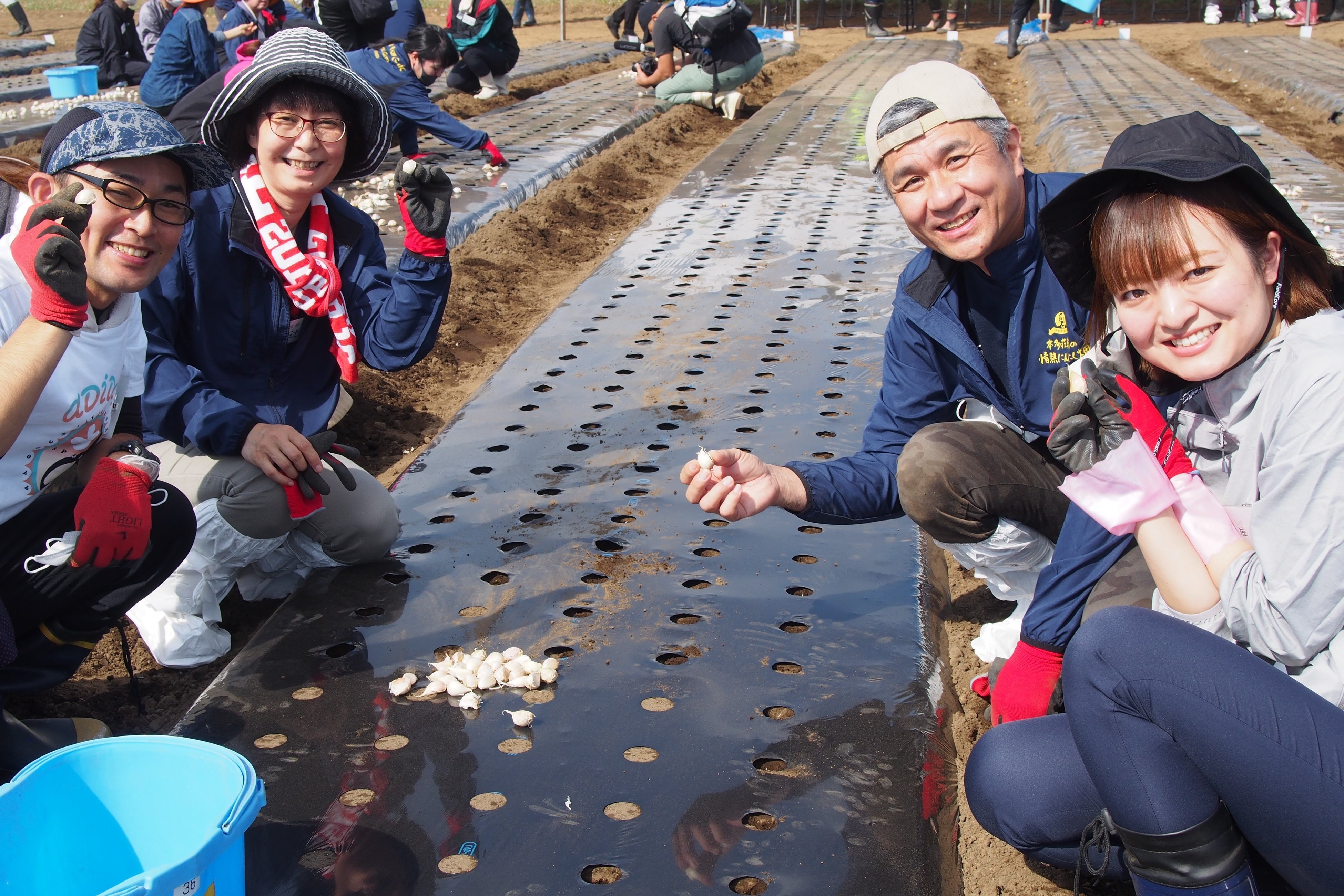 ▲「にんにく王」の植え付けを体験する参加者と健康家族のスタッフ