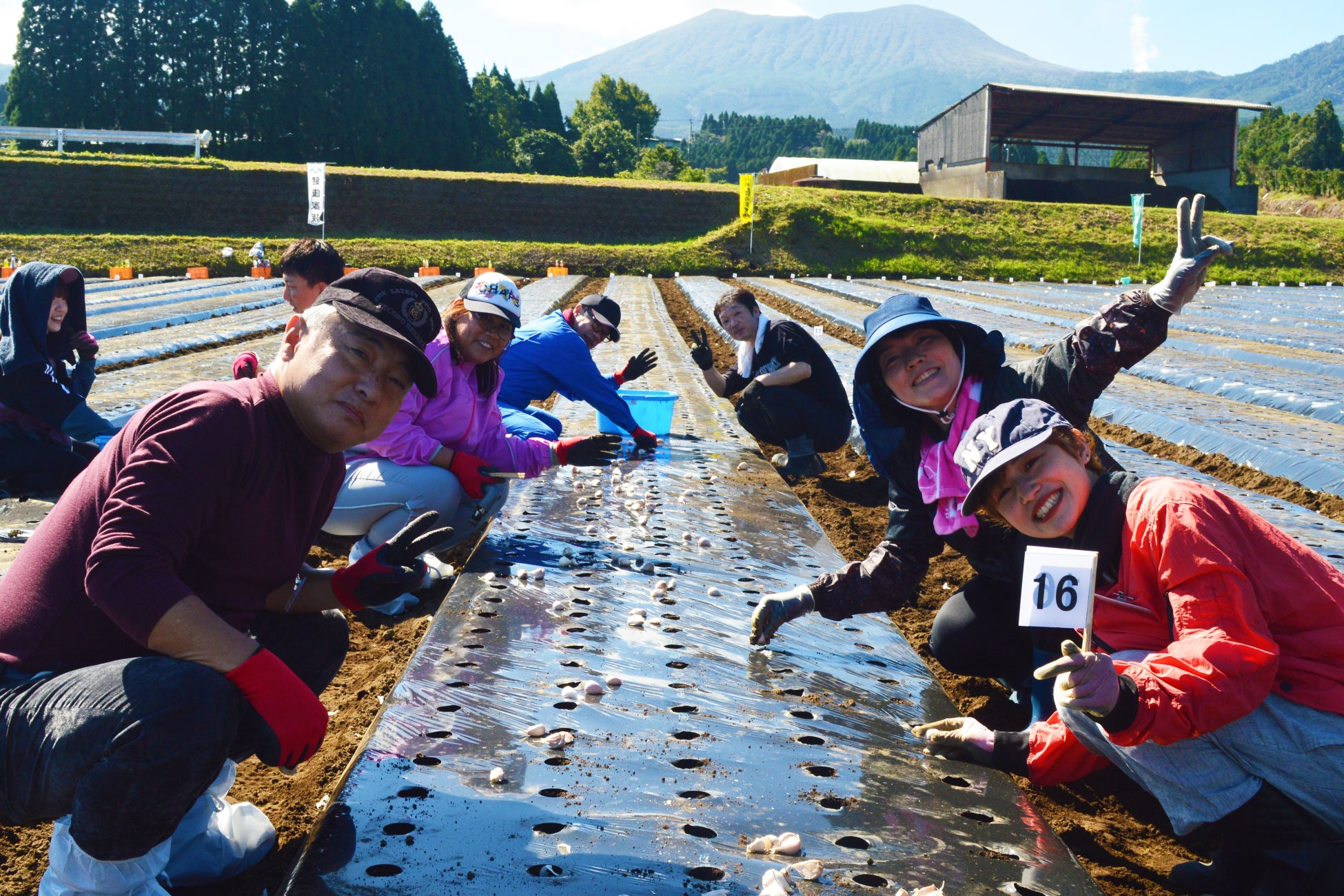 ▲「にんにく王」の植え付けを体験するご愛用者と健康家族のスタッフ
