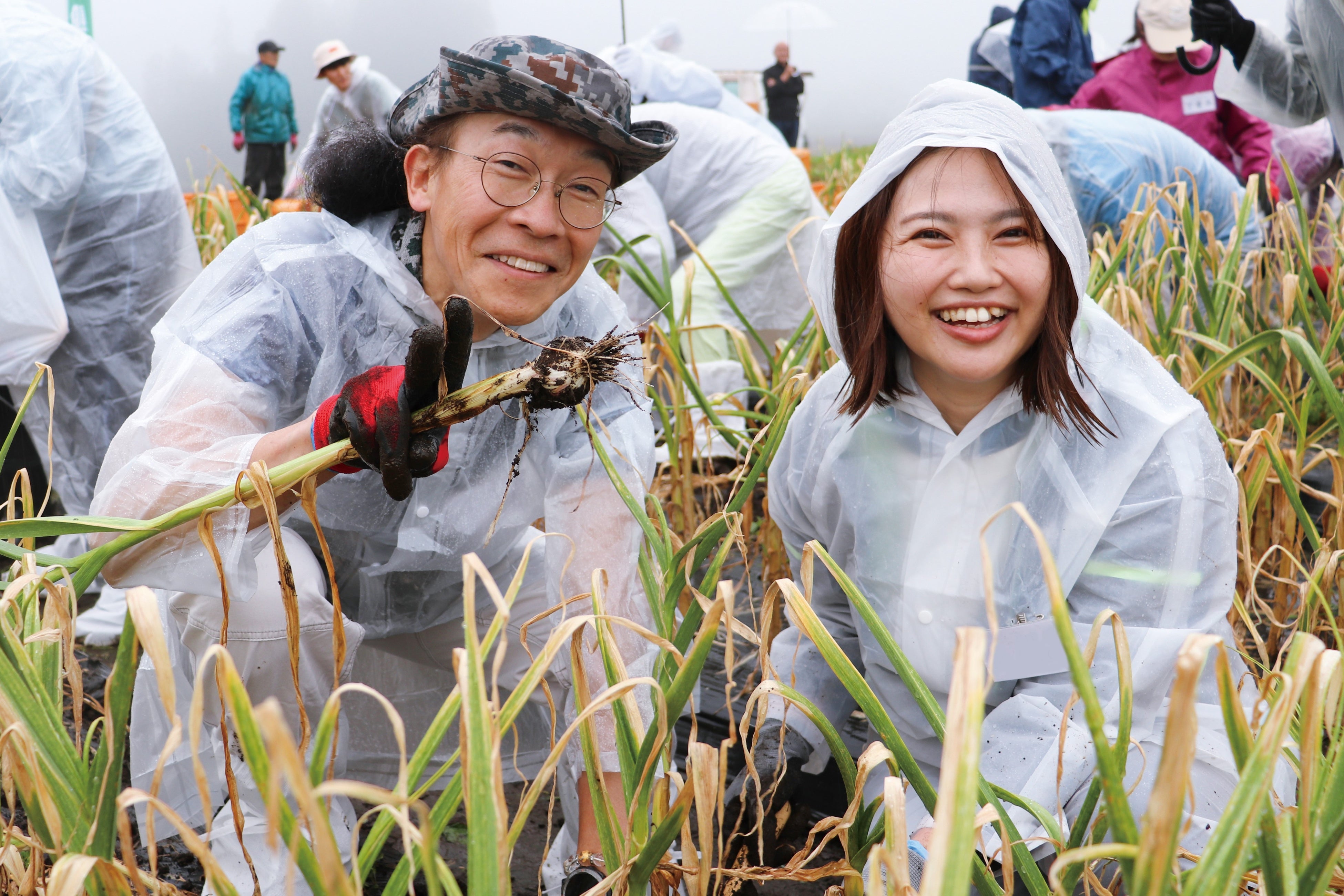 ▲有機「にんにく王」の収穫を体験する参加者と健康家族のスタッフ