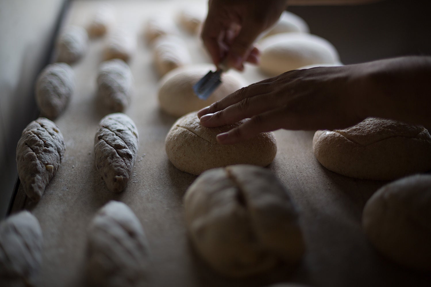 酵母パン　宗像堂