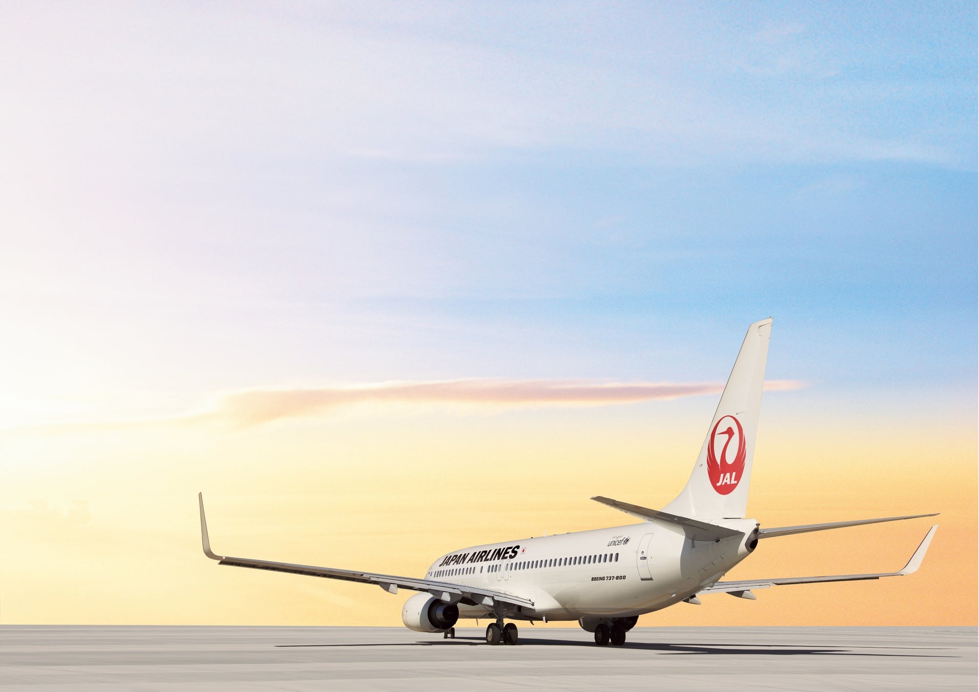JALボーイング737-800型機