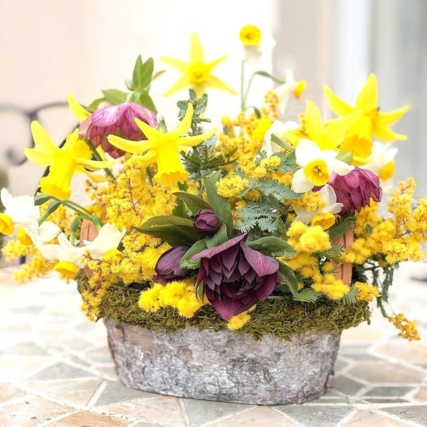 ミモザのバスケットアレンジメント