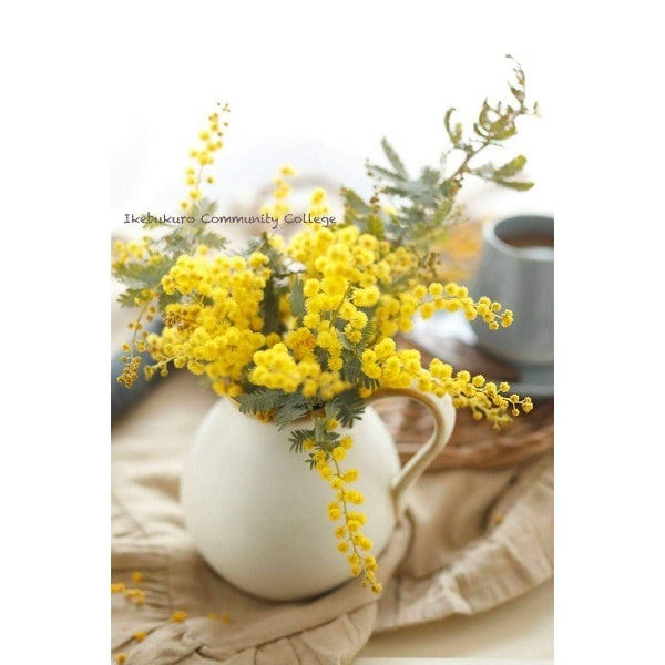 フラワー＆リビングフォト